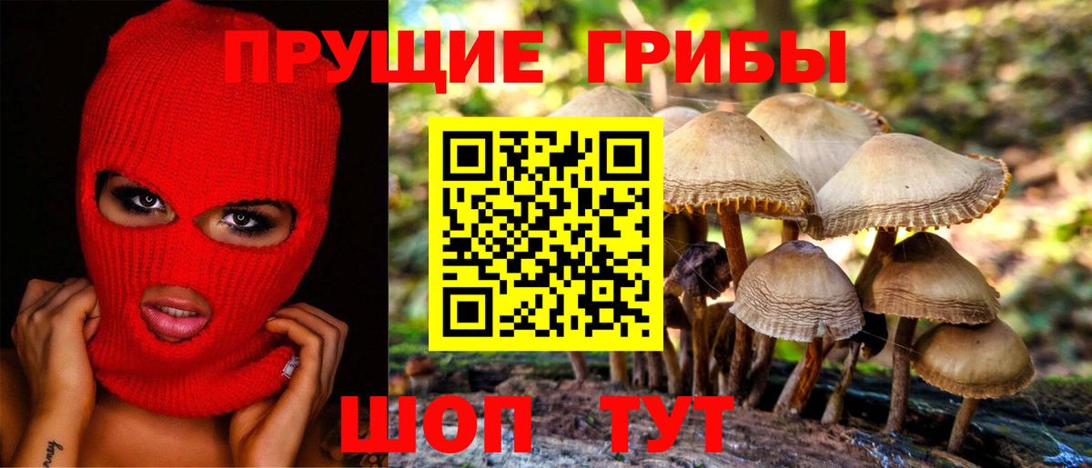 Псилоцибиновые грибы MAGIC MUSHROOMS  где купить наркотик  Советск  Вход с VPN 