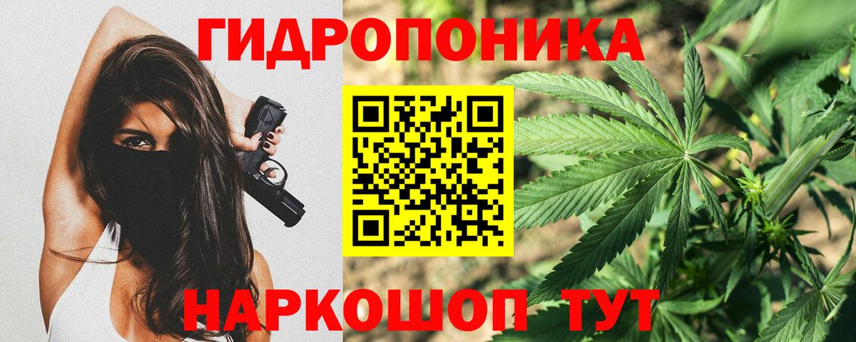 Бошки марихуана план Советск